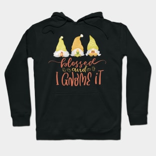 Blessed and I Gnome it Hoodie